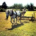 Bill Hay Photo 7