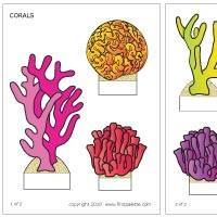 Coral Layman Photo 4