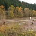 Sandy River Photo 4