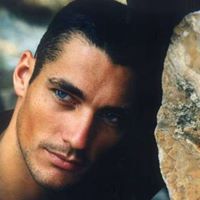 Michael Lavi Photo 12