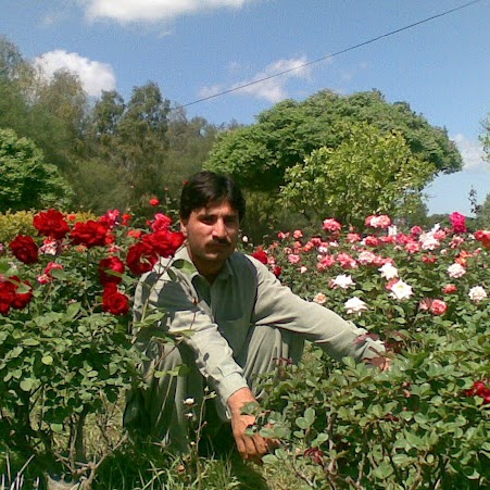 Hikmat Ullah Photo 20