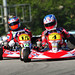 Harvey Kart Photo 9