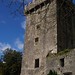 Blarney Stone Photo 6