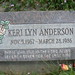 Lyn Anderson Photo 15