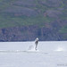 Linda Whale Photo 6