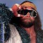 Randy Savage Photo 30