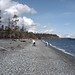 Taylor Beach Photo 15