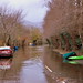 Kerry Flood Photo 6