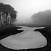 Misty Bunker Photo 7