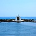 Nicholas Sea Photo 1