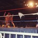 Randy Savage Photo 4