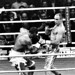 Arthur Abraham Photo 7