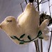 Olive Dove Photo 8