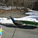 Reginald Peacock Photo 9