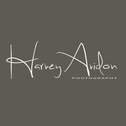 Harvey Avidon Photo 2