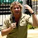 Steve Irwin Photo 5