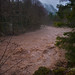 Sandy River Photo 3