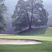 William Snead Photo 15