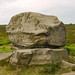 Stanton Stone Photo 3