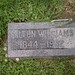 Milton Williams Photo 15