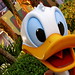 Donald See Photo 3